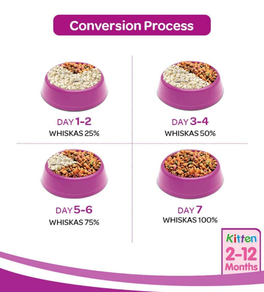 FurryFriend Finds pet food